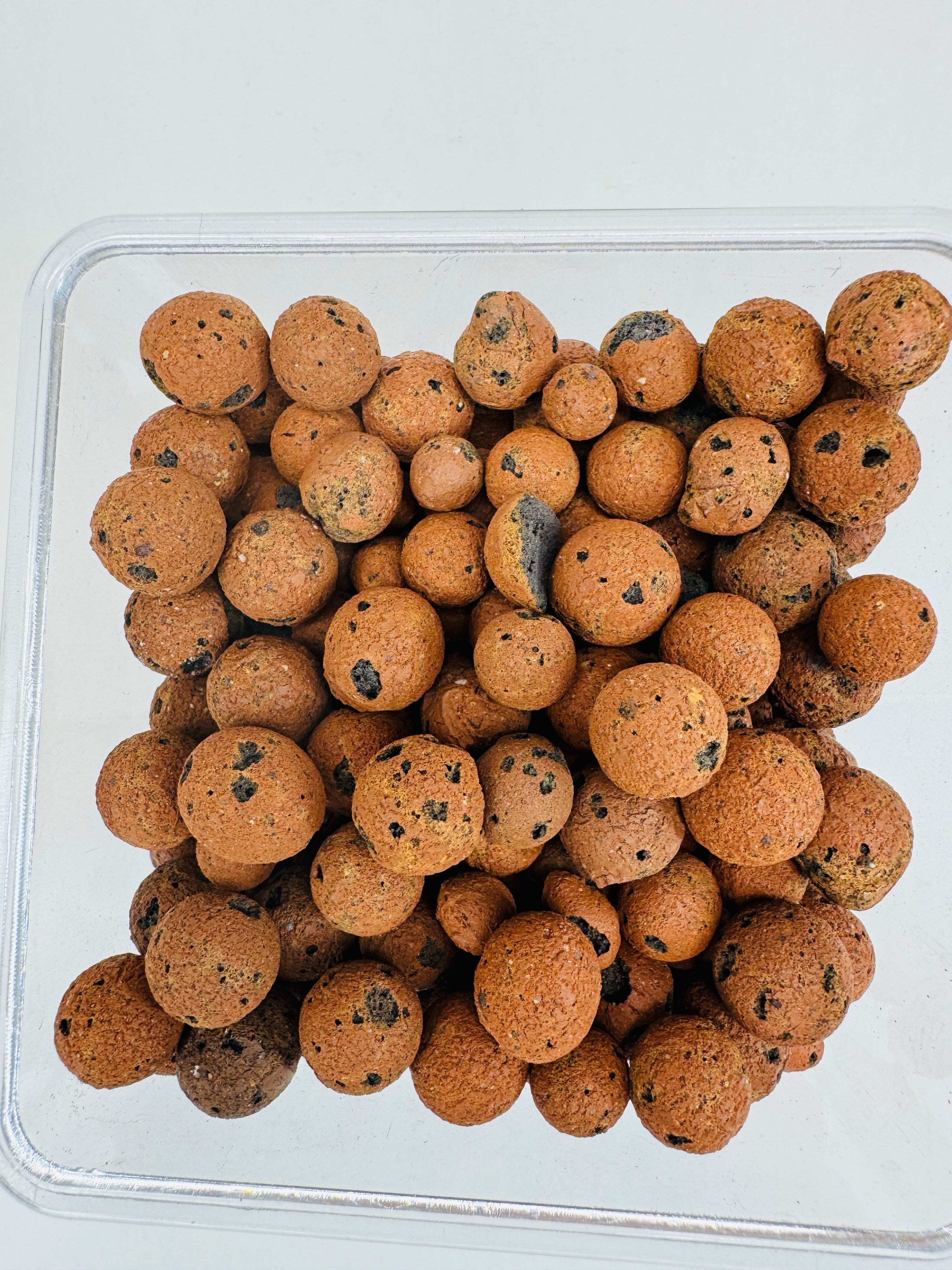 LECA Semi-Hydro Substrate | Lightweight Expanded Clay Aggregate | 8mm-16mm Size | Medium Size LECA