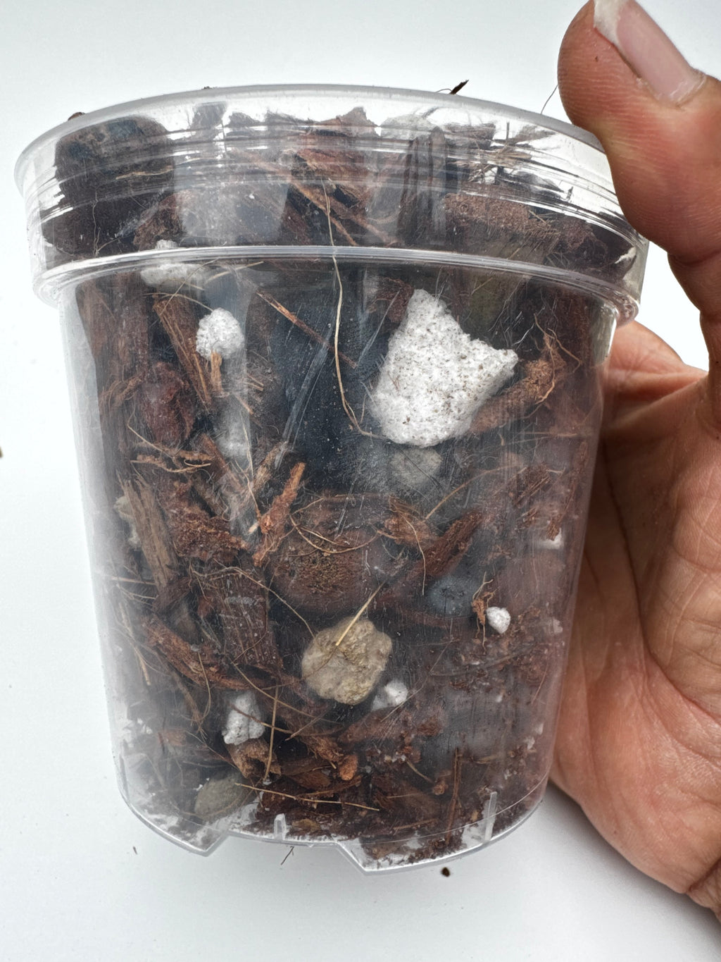 The Root Rot Remedy | Super Chunky Orchid and Hoya Potting Mix | Well-Draining Tropical Houseplant Soil with Perlite Bark Pumice