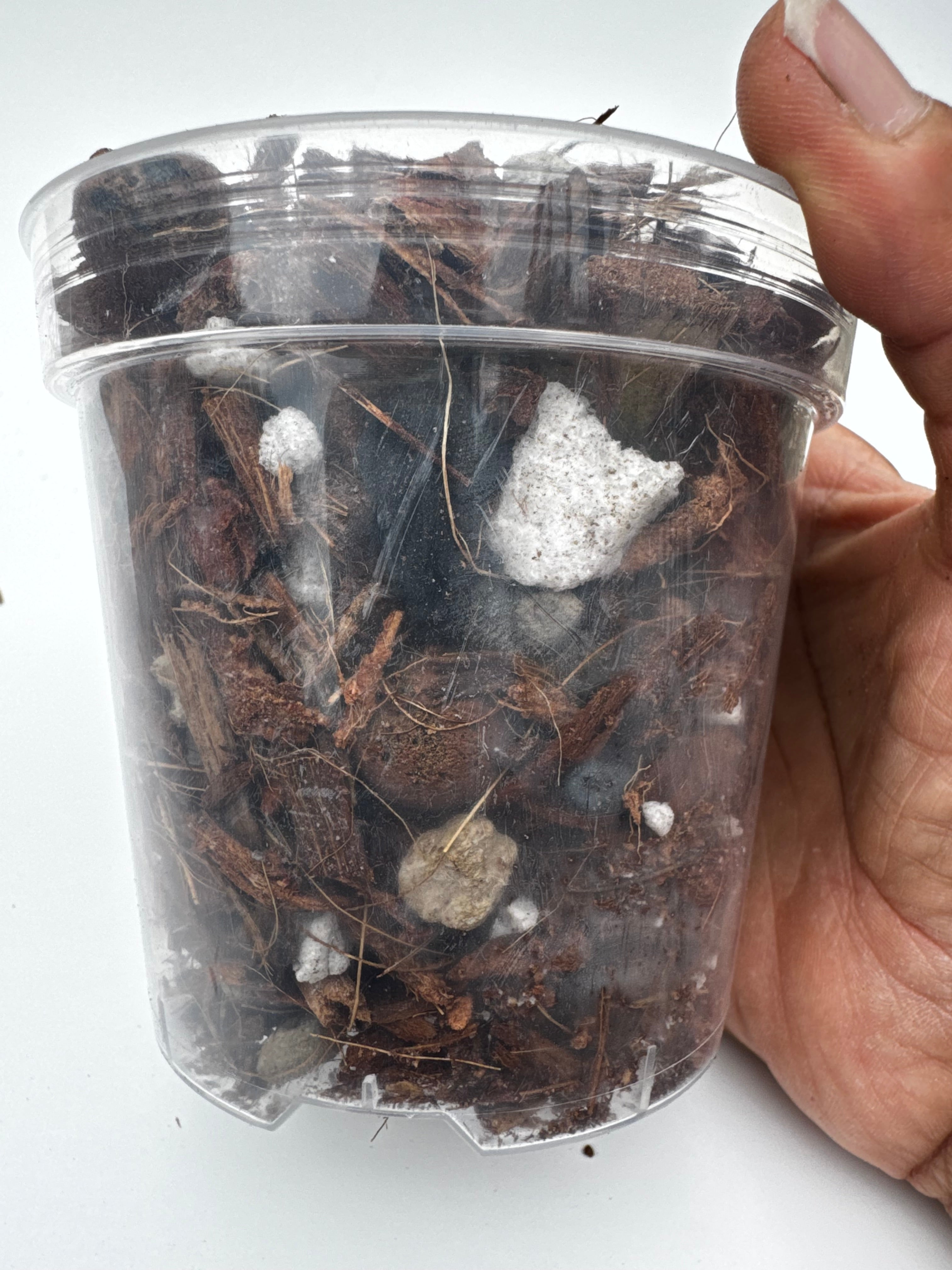 The Root Rot Remedy | Super Chunky Orchid and Hoya Potting Mix | Well-Draining Tropical Houseplant Soil with Perlite Bark Pumice