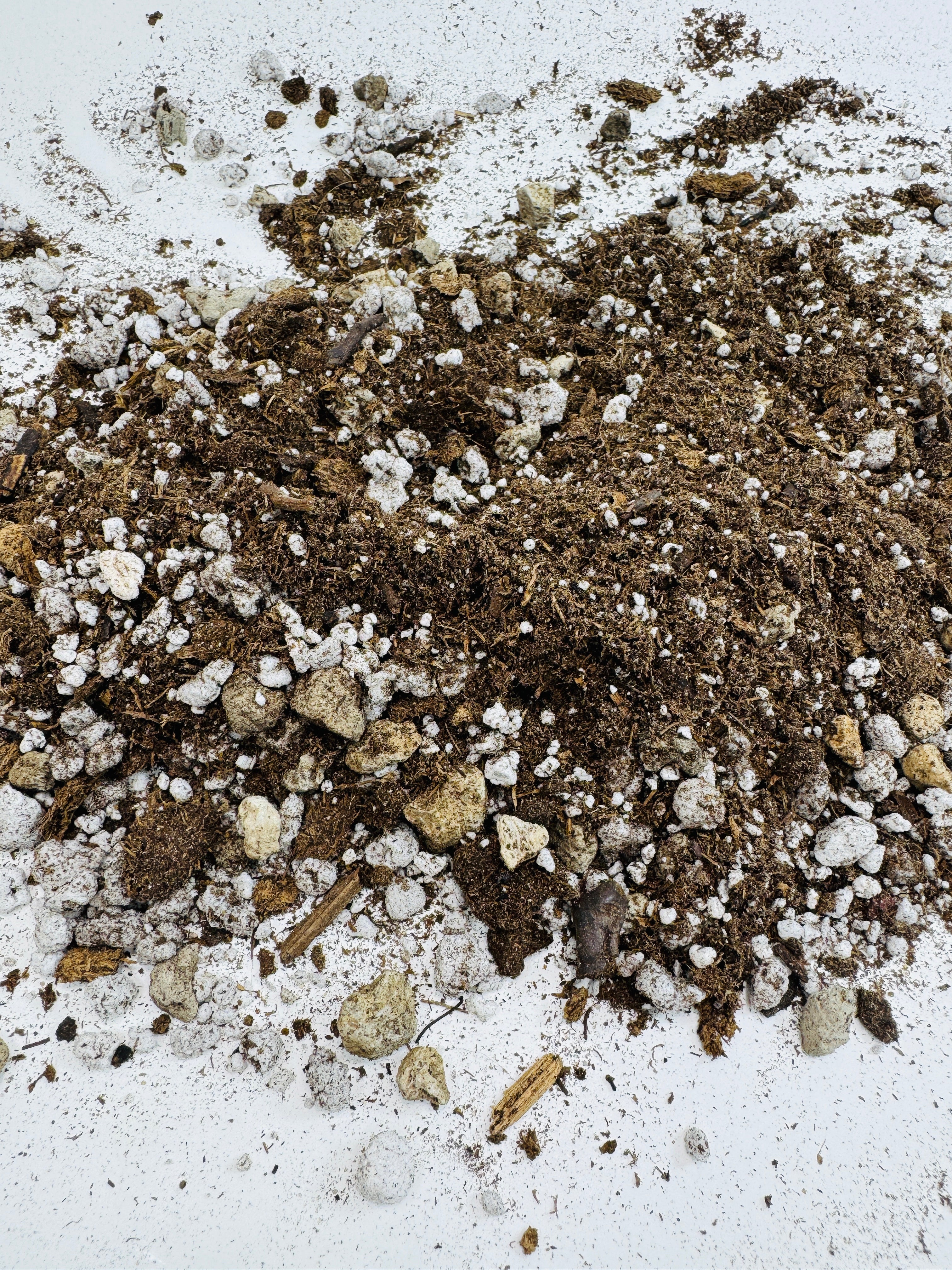 Cactus and Succulent Premium Potting Mix | Fast-Draining Gritty Soil for Succulents Cactus and Dry-Loving Plants