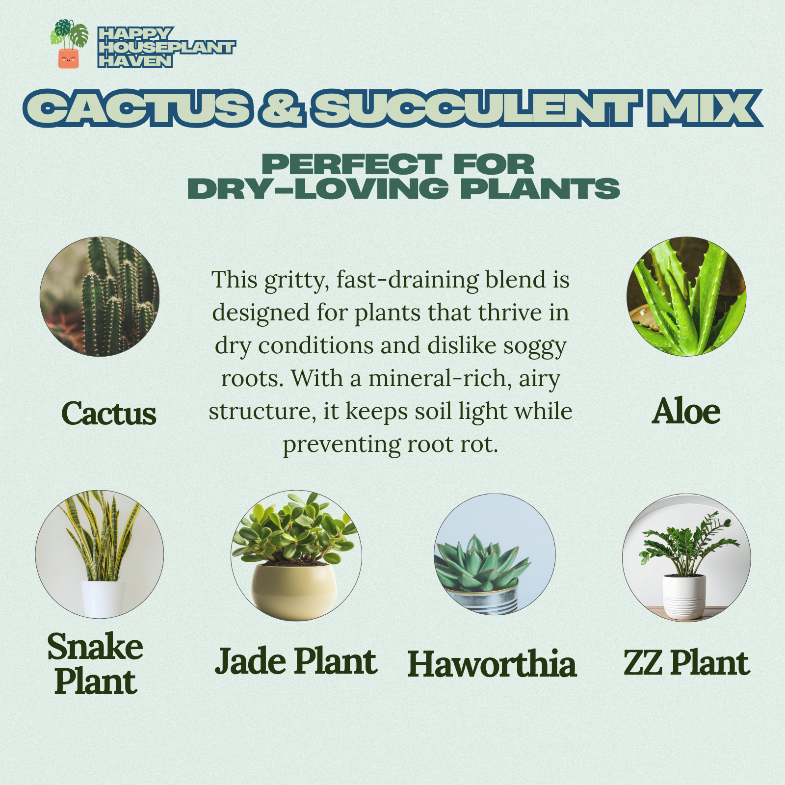 Cactus and Succulent Premium Potting Mix | Fast-Draining Gritty Soil for Succulents Cactus and Dry-Loving Plants