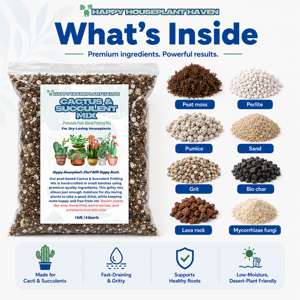 Cactus & Succulent Mix | Fast-Draining Succulent Soil
