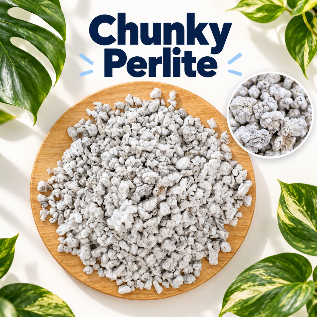 Chunky Perlite | 1/4–1/2 Inch Pre-Sifted Perlite for Chunky Potting Mixes