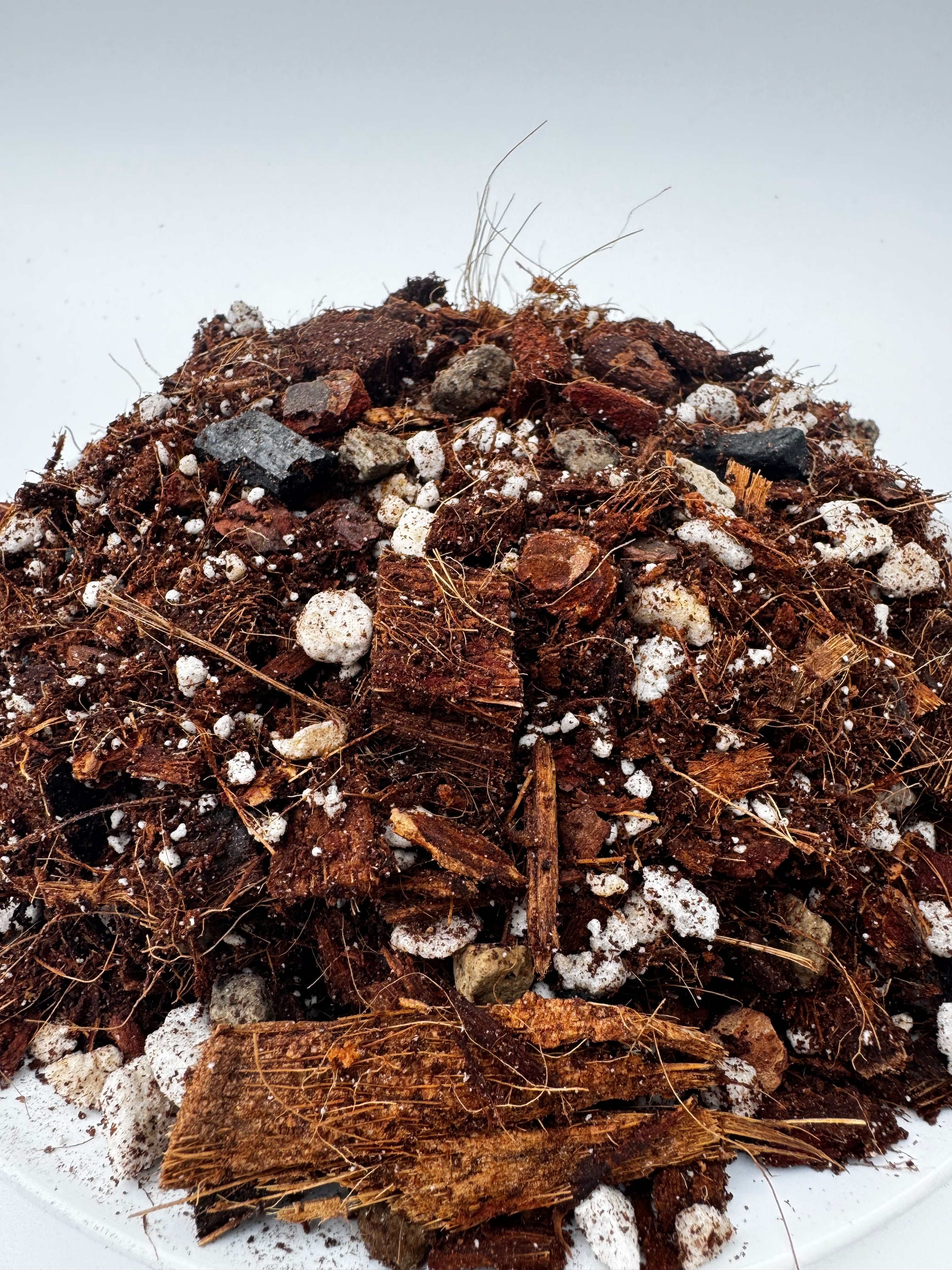 The Repot Remedy | Chunky Potting Mix – Fast-Draining Soil for Aroids Tropical Houseplants Repotting – Helps Prevent Root Rot