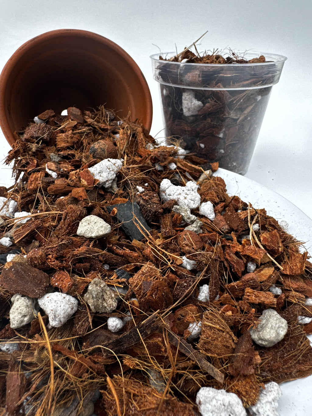 The Root Rot Remedy | Super Chunky Orchid and Hoya Potting Mix | Well-Draining Tropical Houseplant Soil with Perlite Bark Pumice