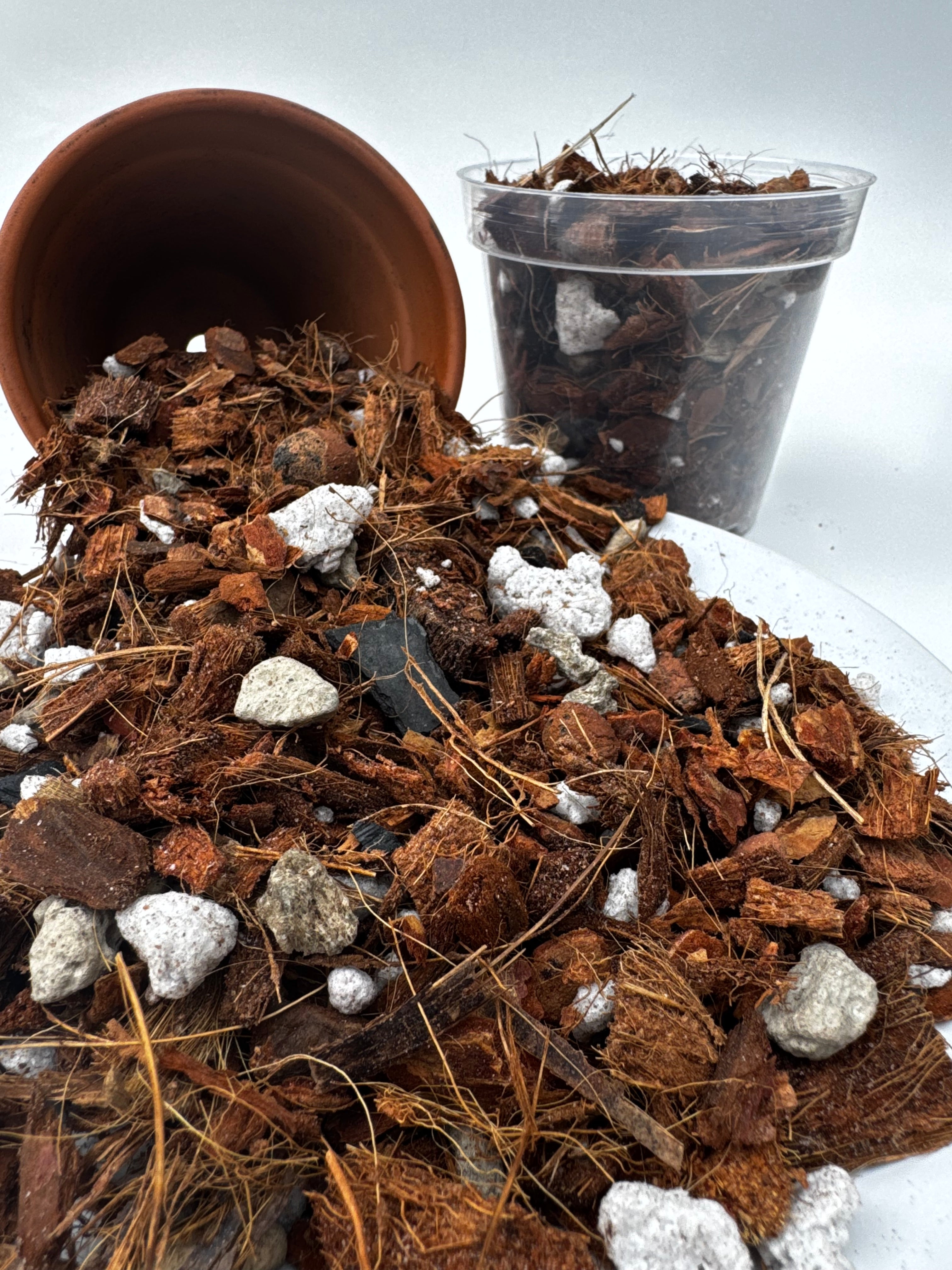 The Root Rot Remedy | Super Chunky Orchid and Hoya Potting Mix | Well-Draining Tropical Houseplant Soil with Perlite Bark Pumice