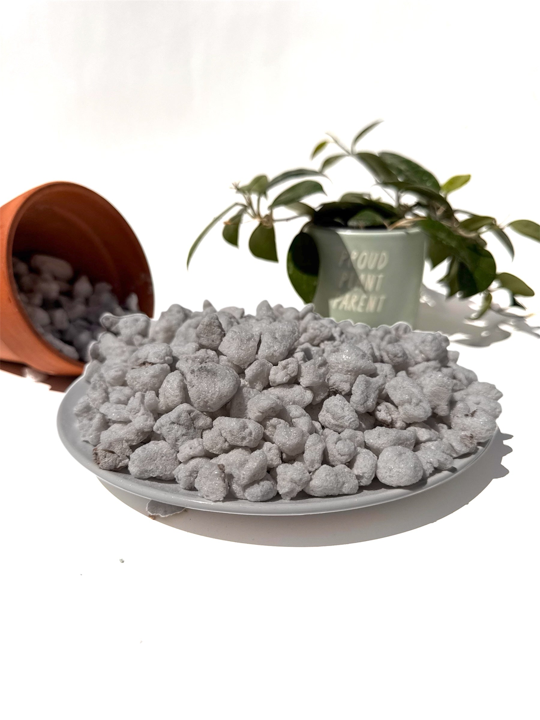 #4 Super Chunky Perlite – XL Grade Perlite for Drainage, Root Aeration & Aroid Soil Mixes