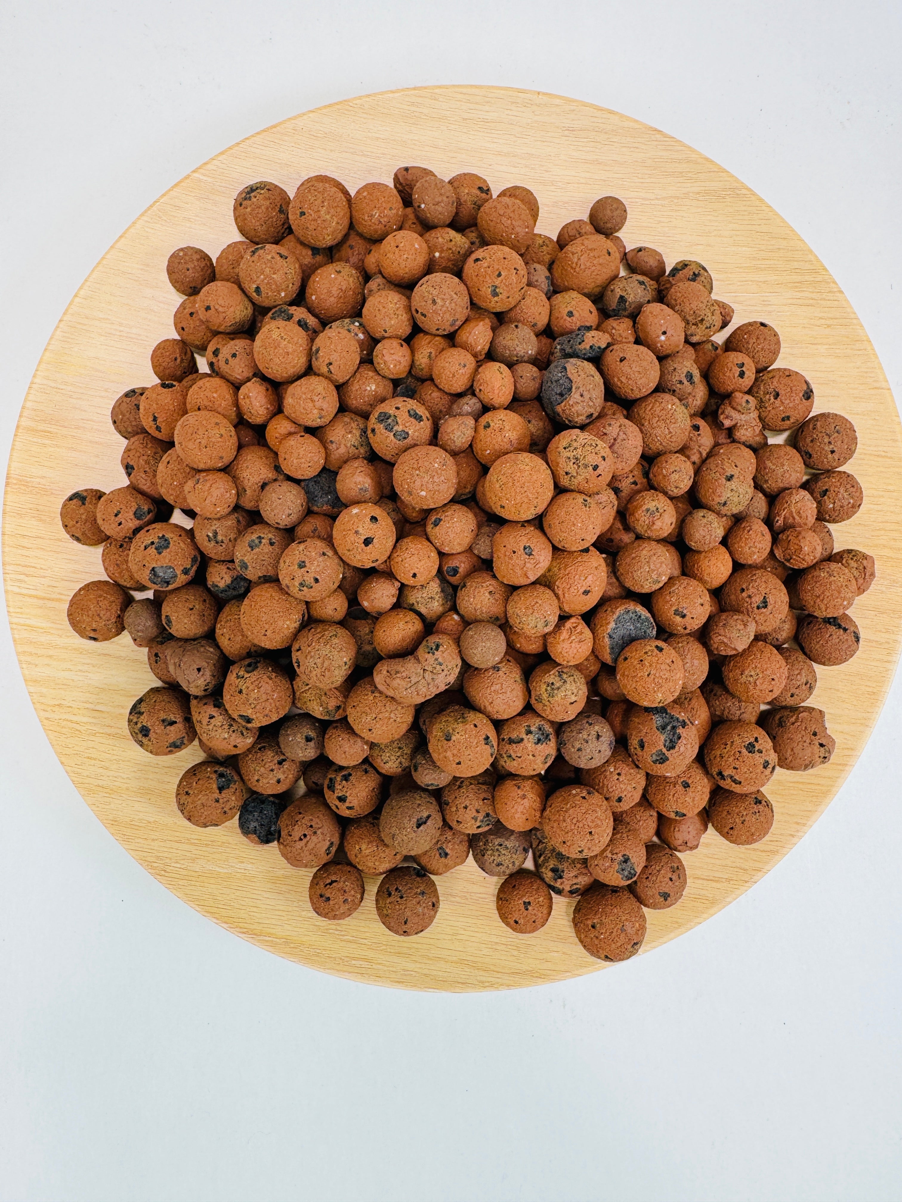 LECA Semi-Hydro Substrate | Lightweight Expanded Clay Aggregate | 8mm-16mm Size | Medium Size LECA