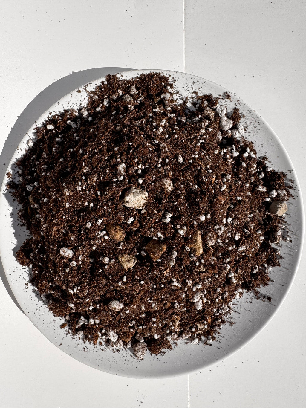 The Succulent Solution | Cactus and Succulent Potting Mix | Fast-Draining Gritty Soil for Succulents Cactus and Dry-Loving Plants