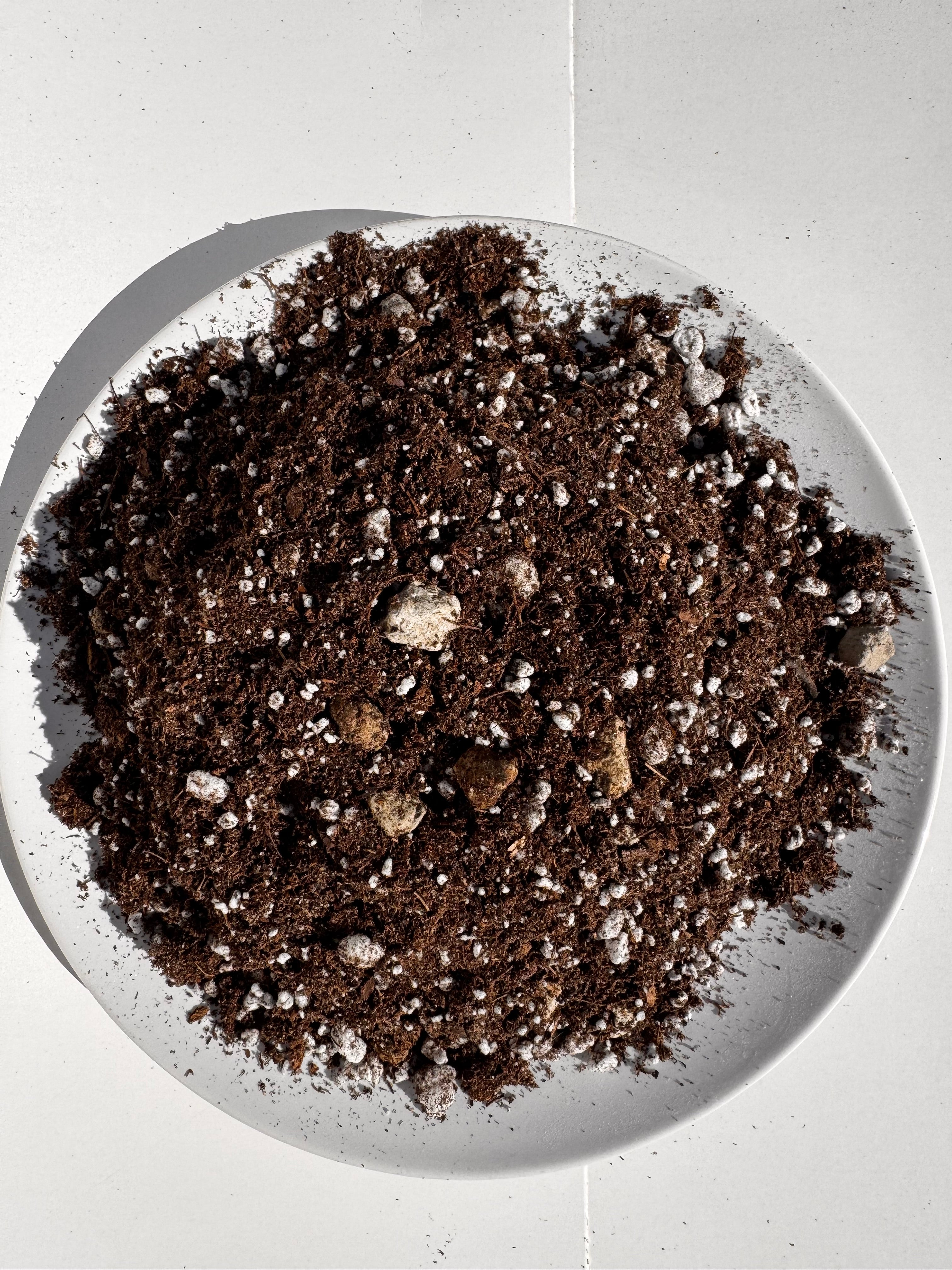 The Succulent Solution | Cactus and Succulent Potting Mix | Fast-Draining Gritty Soil for Succulents Cactus and Dry-Loving Plants