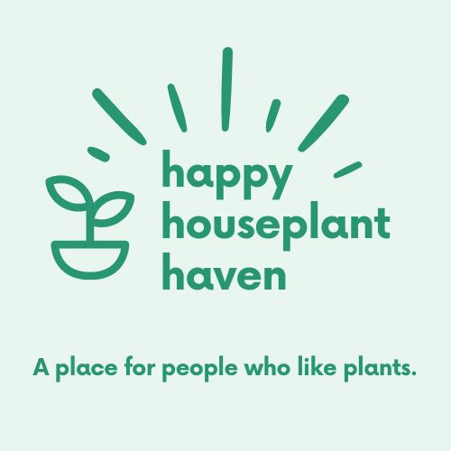 The Repot Remedy | Chunky Potting Mix – Fast-Draining Soil for Aroids Tropical Houseplants Repotting – Helps Prevent Root Rot