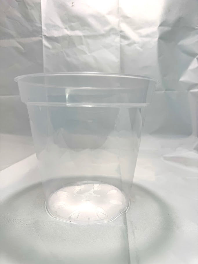 8-Inch Large Clear Nursery Pots | 2 Pack | Transparent Plastic Planter for Indoor & Outdoor Plants
