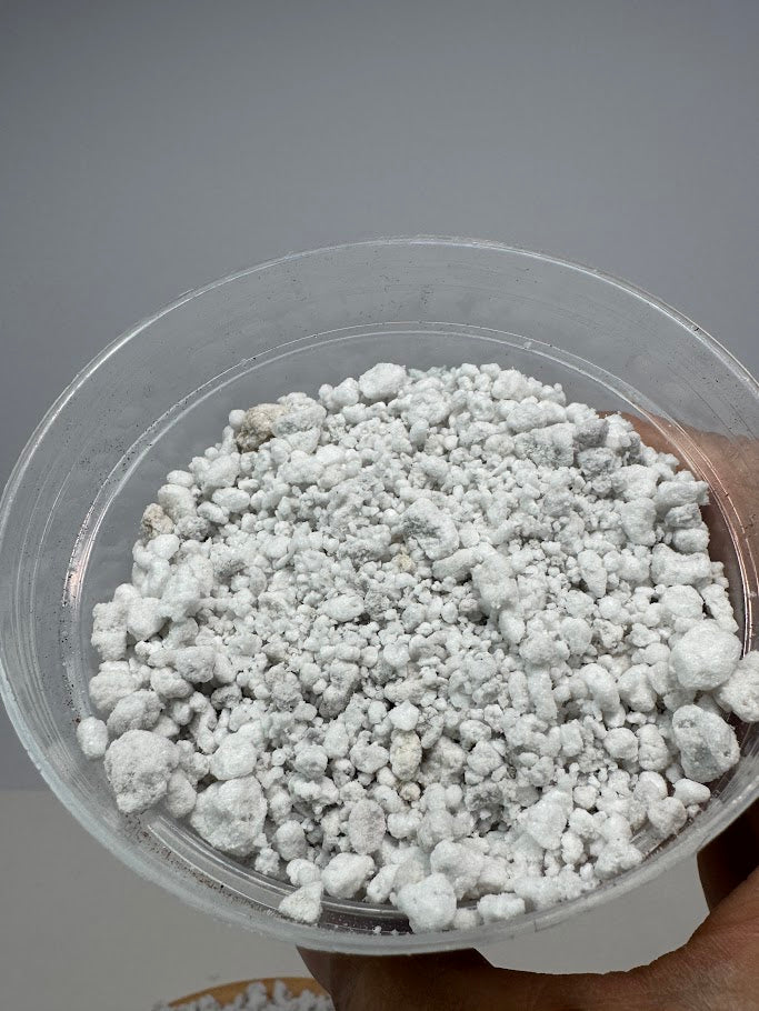 Coarse Perlite – Lightweight Soil Additive for Drainage Aeration and Root Health in Houseplants