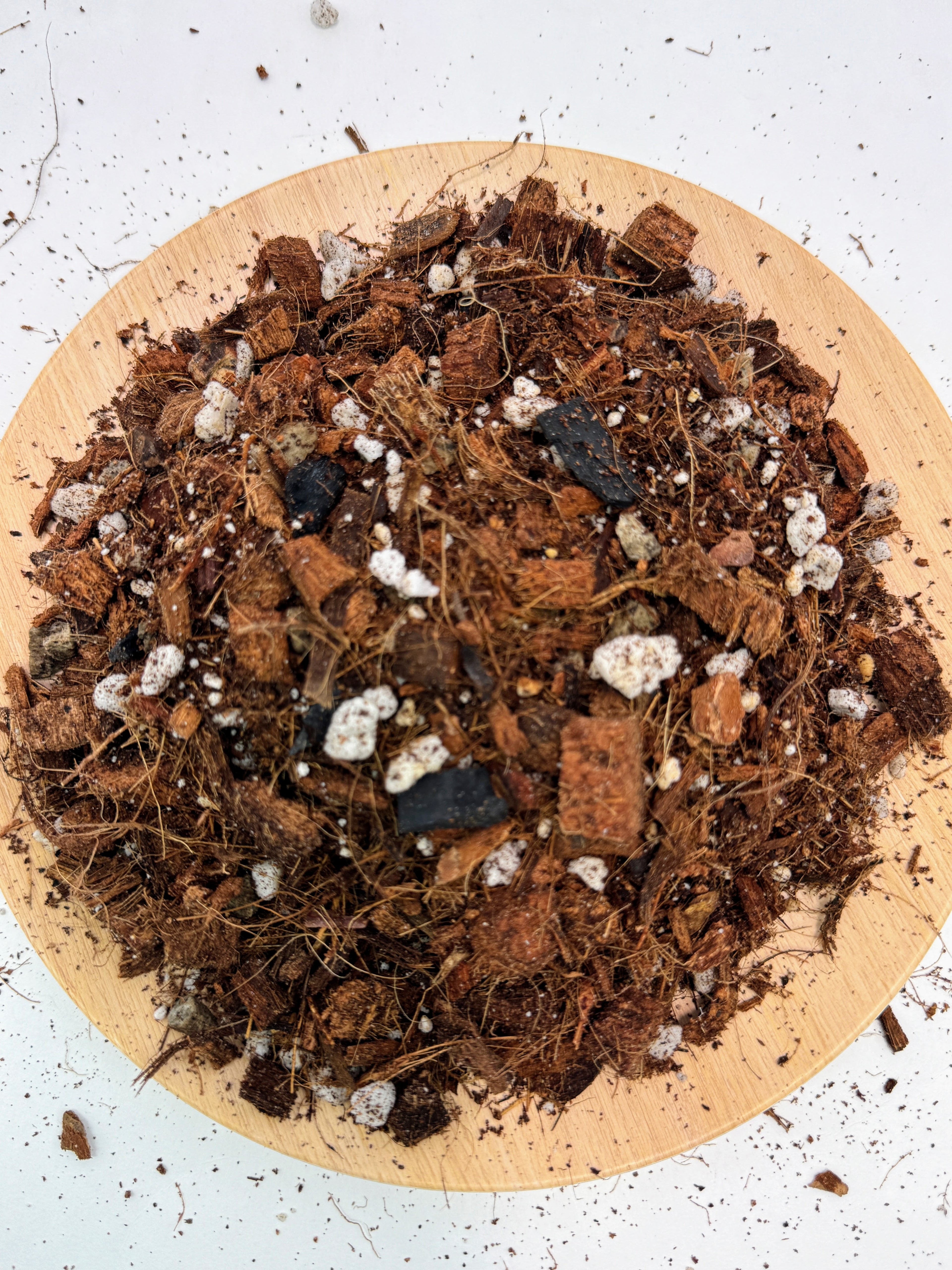 Chunky Aroid Mix | Well-Draining Soilless Potting Mix for Monsteras Hoyas Aroids