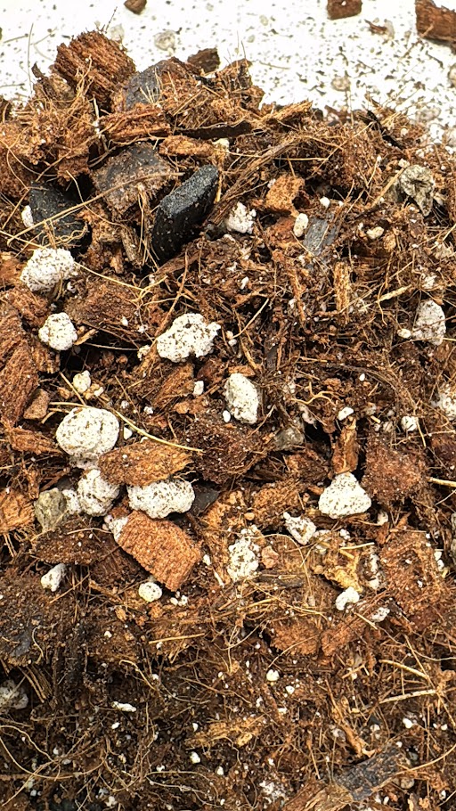 Chunky Peat-Free Potting Mix | Fast-Draining Soil for Hoyas Aroids and Tropical Houseplants