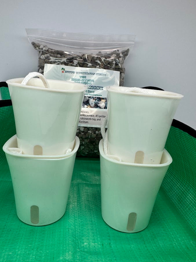 1/2 GAL Semi-Hydro Starter Kit in Clear Storage Bin | Plant Lover's PON Gift Set | FREE BONUS BAG