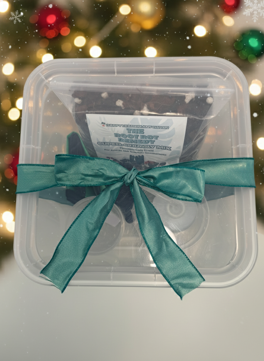 Clear plastic container with a green ribbon against a blurred festive background