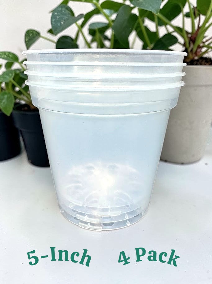 5-Inch Clear Nursery Pots | 4 pack | Large Transparent Plastic Plant Pots with Drainage for Indoor Tropical Houseplants