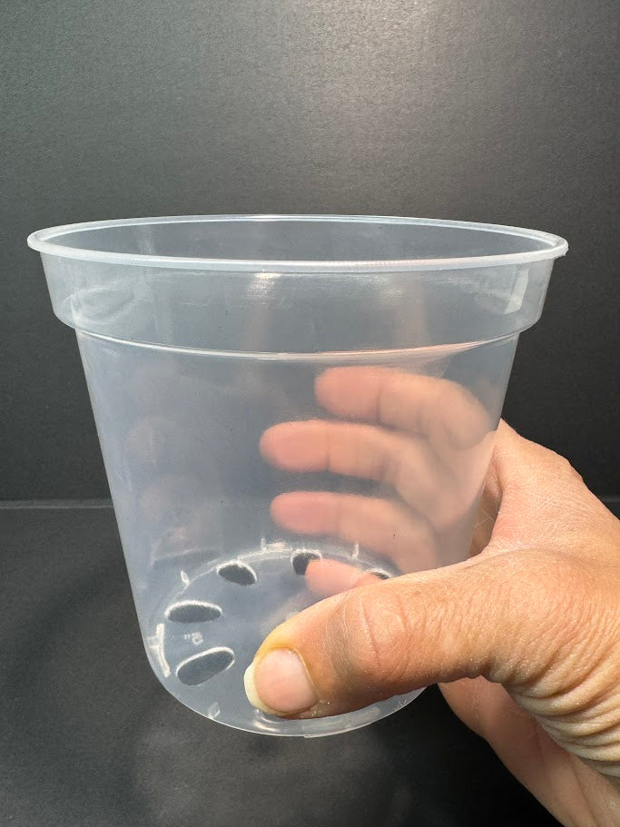5-Inch Clear Nursery Pots | 4 pack | Large Transparent Plastic Plant Pots with Drainage for Indoor Tropical Houseplants