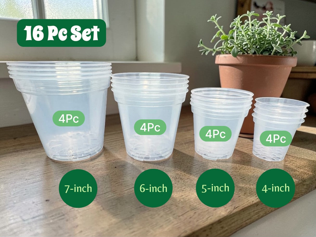 Set of clear plastic pots with labeled sizes on a wooden surface, accompanied by a potted plant.