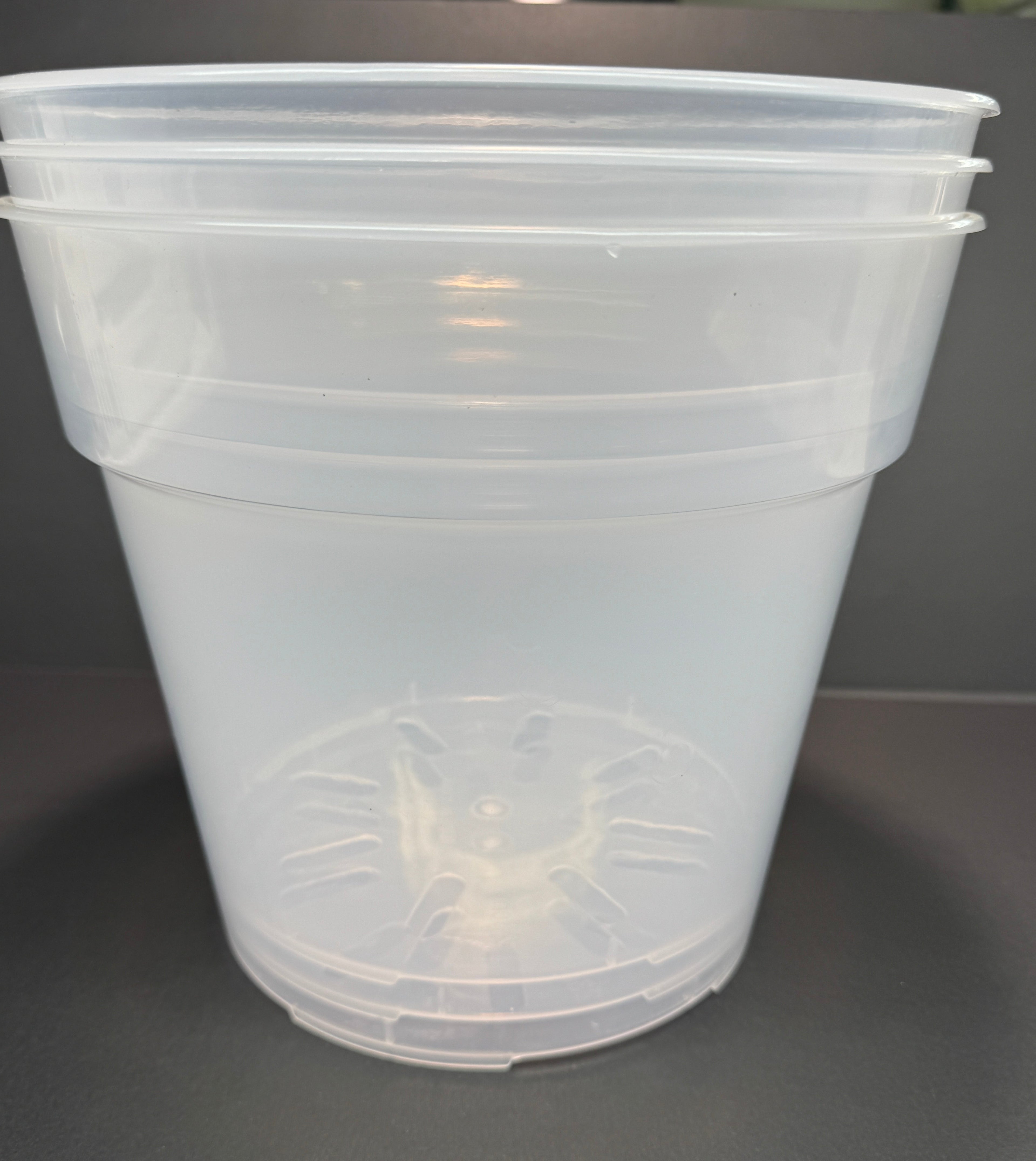 9-Inch Large Clear Nursery Pot with Saucer | 3 Pack | Transparent Plastic Planter for Indoor & Outdoor Plants