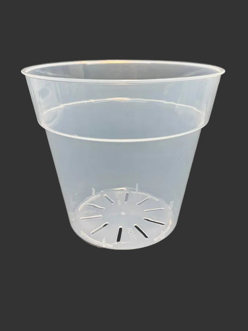 10-Inch Large Clear Nursery Pot | 2 Pack | Transparent Plastic Planter for Indoor & Outdoor Plants
