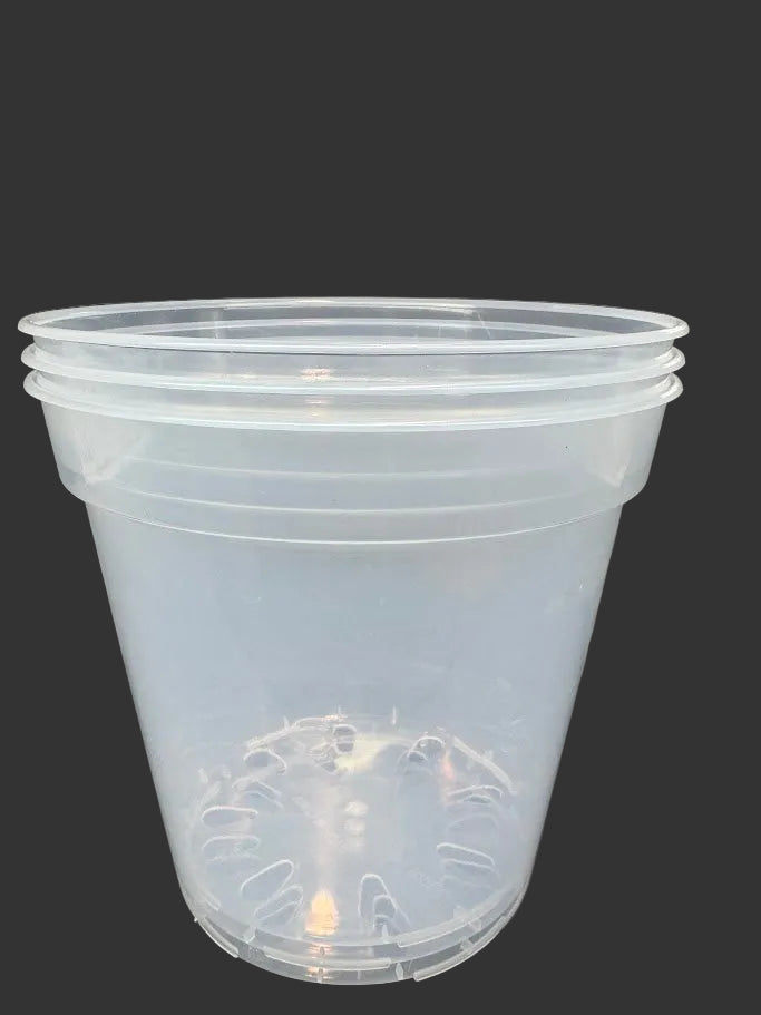 8-Inch Large Clear Nursery Pots | 3 Pack | Transparent Plastic Planter for Indoor & Outdoor Plants