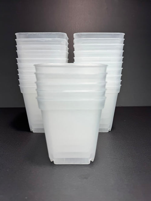 3-Inch Clear Square Nursery Pot | 10 Pack or 25 Pack | Transparent Plant Pot for Cuttings and Starter Plants