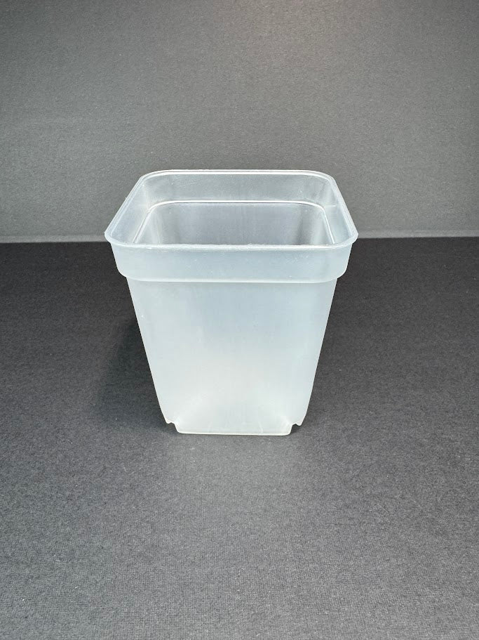 3-Inch Clear Square Nursery Pot | 10 Pack or 25 Pack | Transparent Plant Pot for Cuttings and Starter Plants