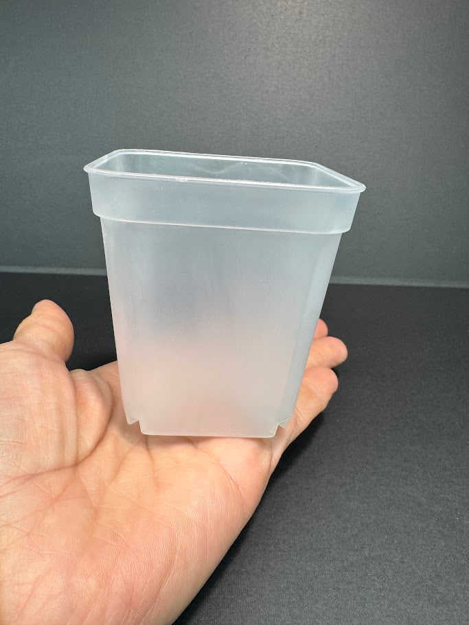 3-Inch Clear Square Nursery Pot | 10 Pack or 25 Pack | Transparent Plant Pot for Cuttings and Starter Plants