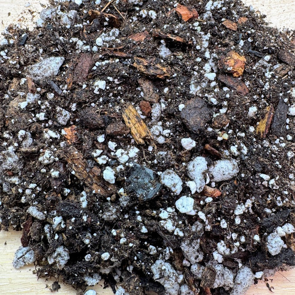 Chunky Classic Potting Mix | Well-Draining Indoor Soil for Monstera, Pothos & Begonia