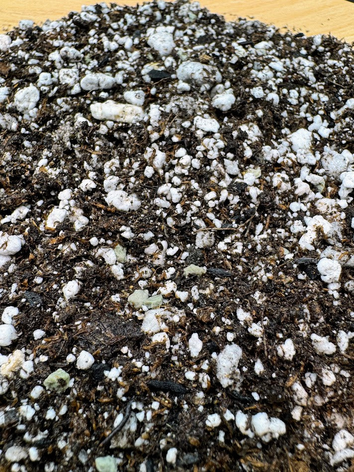 Chunky Cactus & Succulent Mix | Gritty, Fast-Draining Cactus & Succulent Soil