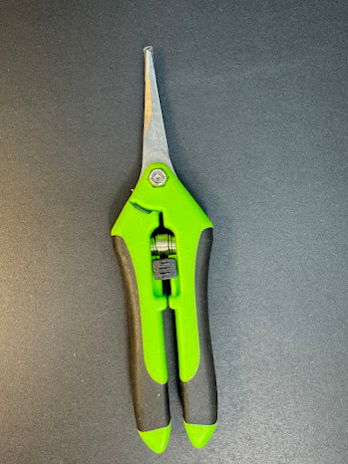 Plant Snips | Stainless Steel Pruning Shears for Houseplants | 1 Pair | Green, Blue or Orange