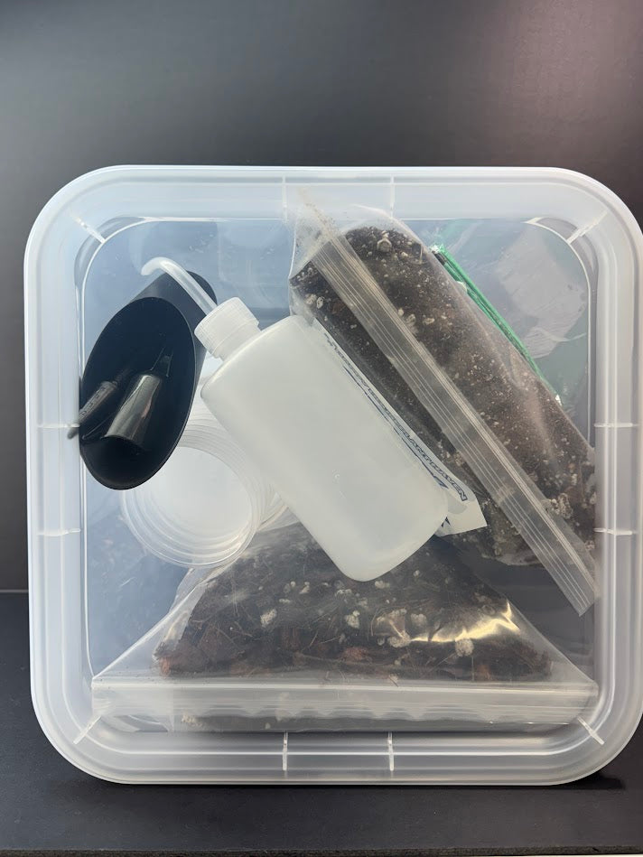 49-Piece Repotting Day Kit | Clear Nursery Pots, Potting Mix, Tools & Propagation Bin
