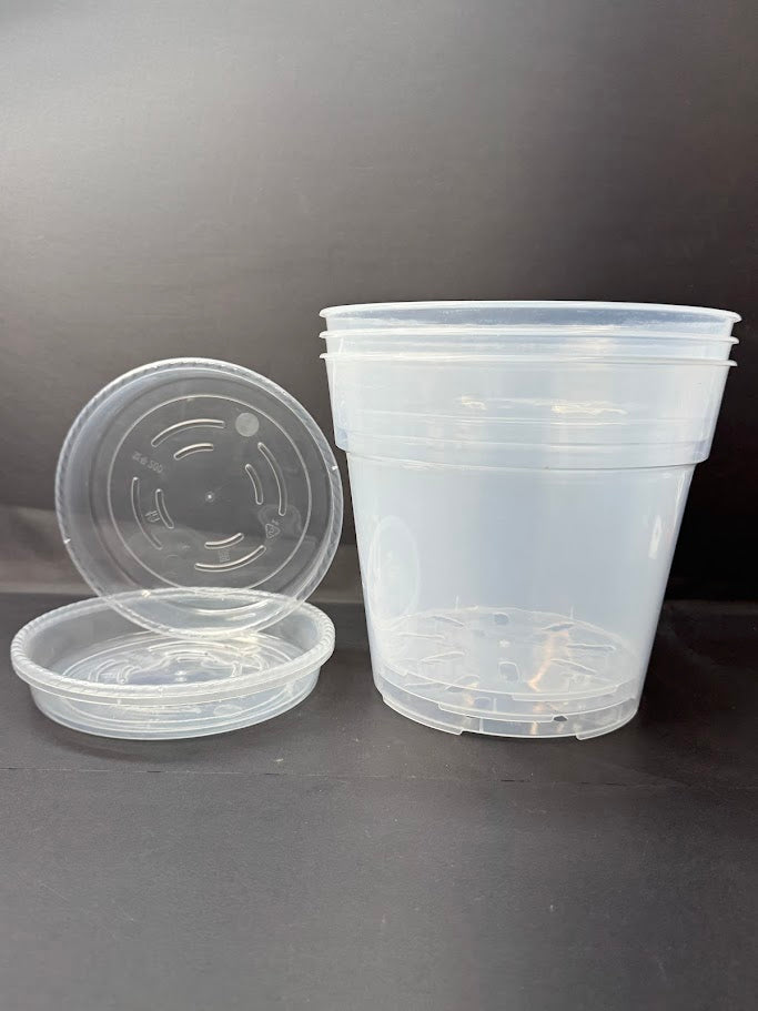 A clear plastic cup with a matching clear plastic lid, shown on a dark gray background with the lid placed beside and slightly in front of the cup.