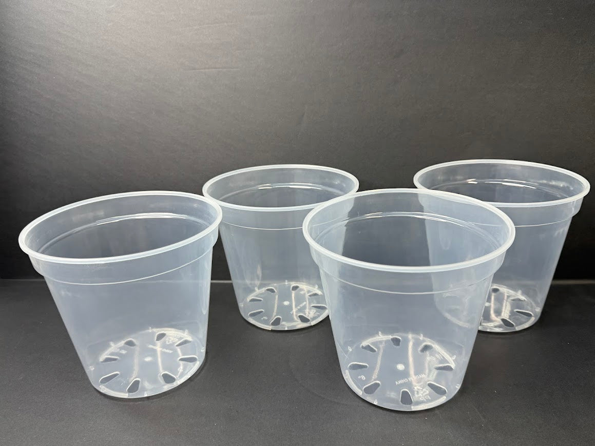 6-inch Clear Nursery Pots with Drainage Holes | 4 Pack | Plastic Plant Pots for Repotting Houseplants