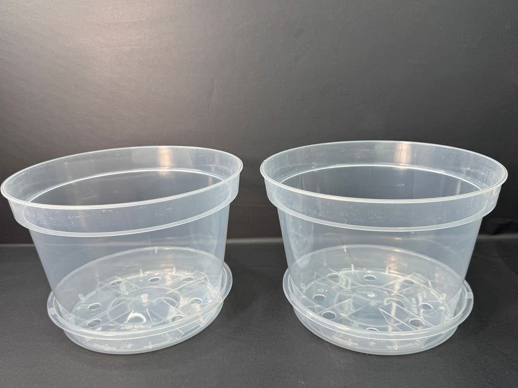 8-Inch Shorty Clear Nursery Pots with Saucers | 2 Pack Azalea Pots | Wide Clear Plant Pots