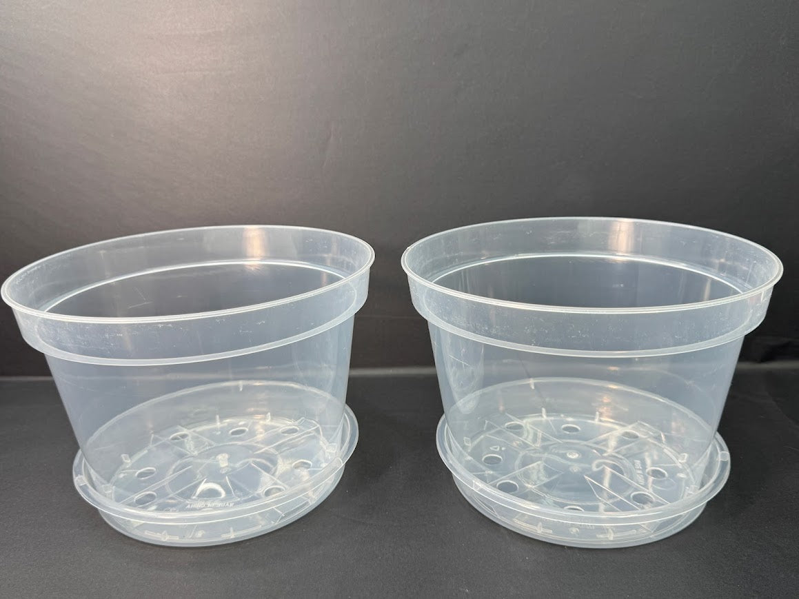 8-Inch Shorty Clear Nursery Pots with Saucers | 2 Pack Azalea Pots | Wide Clear Plant Pots