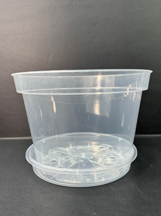 8-Inch Shorty Clear Nursery Pots with Saucers | 2 Pack Azalea Pots | Wide Clear Plant Pots