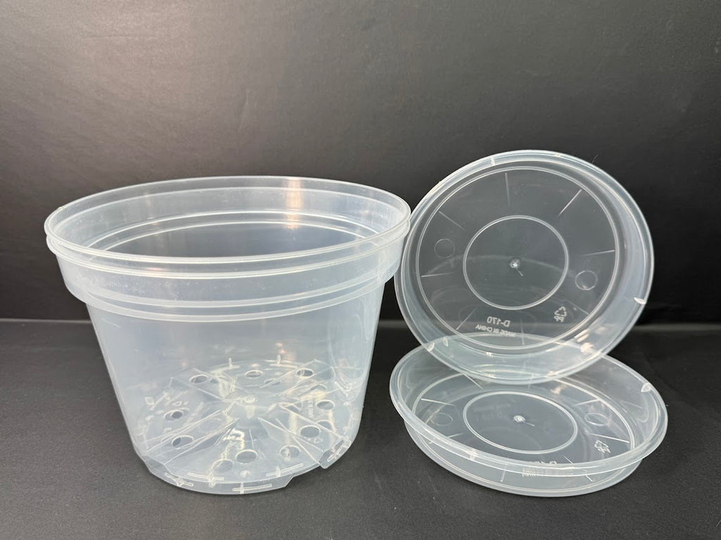 8-Inch Shorty Clear Nursery Pots with Saucers | 2 Pack Azalea Pots | Wide Clear Plant Pots