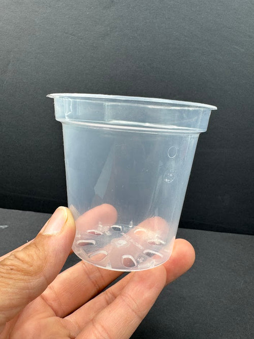 3-Inch Clear Nursery Pots with Drainage Holes | 8 or 24 Pack | Clear Plant Pots