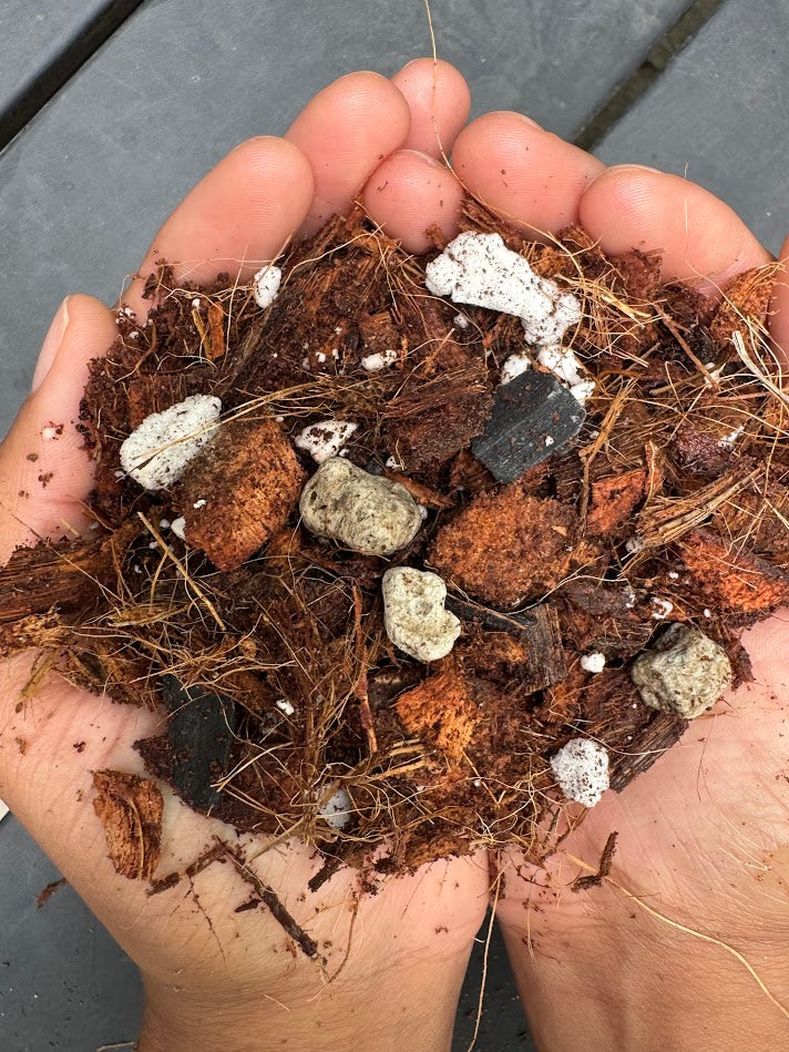 Chunky Aroid Mix | Peat-Free Potting Soil for Hoya, Philodendron & Anthurium