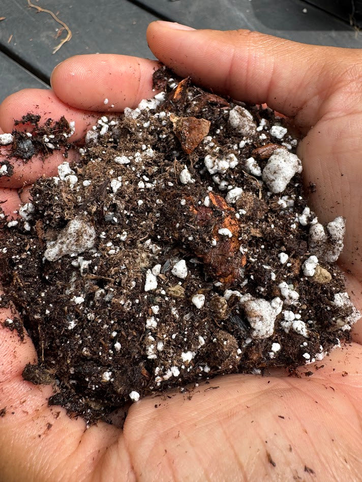 Chunky Classic Potting Mix | Well-Draining Indoor Soil for Monstera, Pothos & Begonia