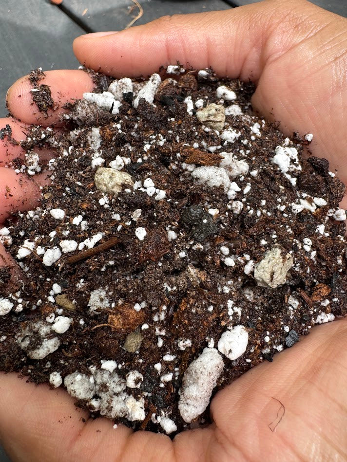 Chunky Cactus & Succulent Mix | Gritty, Fast-Draining Cactus & Succulent Soil