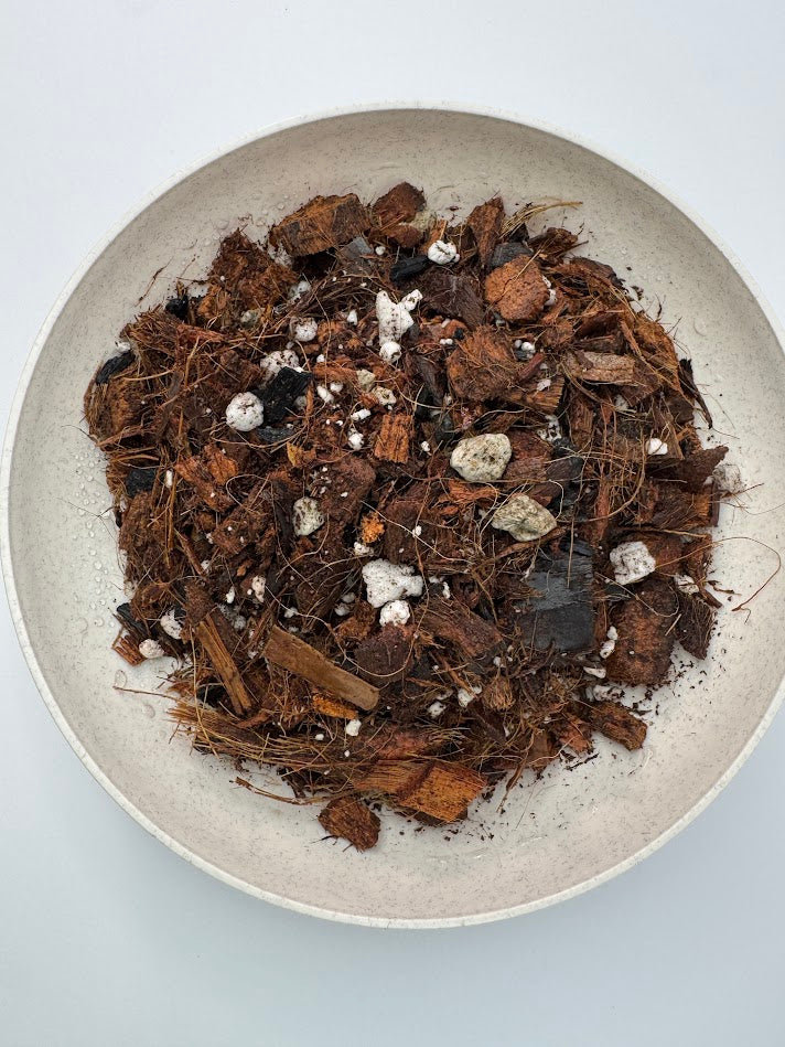 A top-down view of Happy Houseplant Haven Chunky Aroid Mix containing brown coconut coir, dark soil, and small white perlite pebbles, presented in a round speckled beige ceramic bowl on a light gray background.