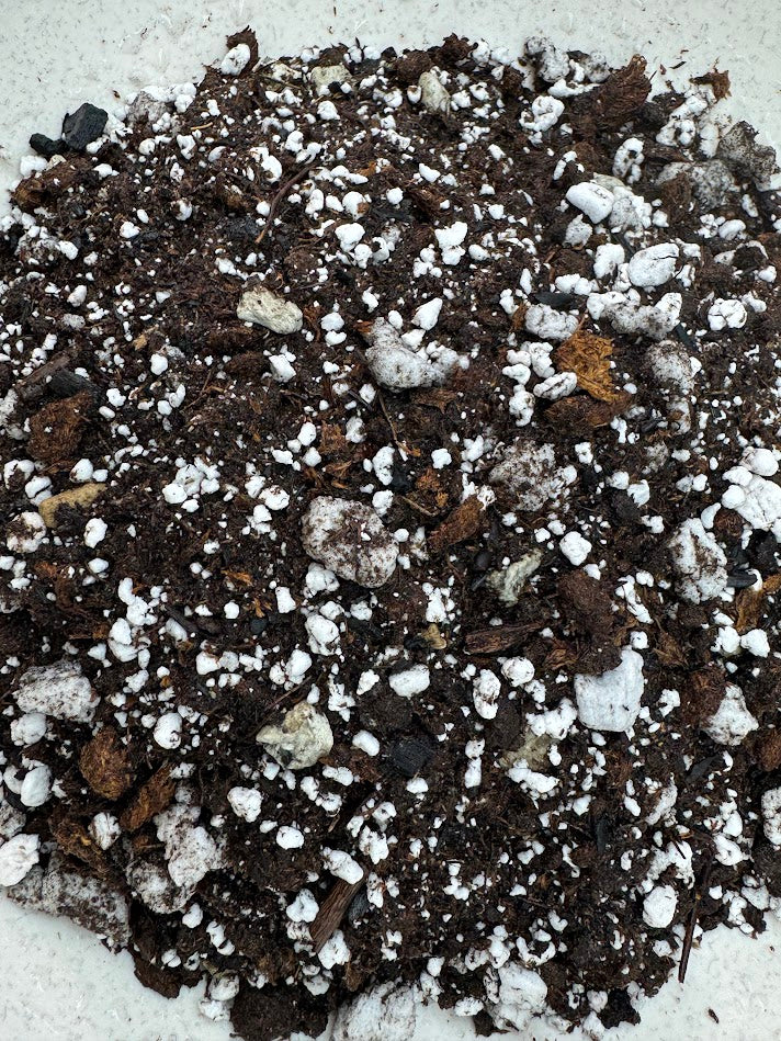 Chunky Cactus & Succulent Mix | Gritty, Fast-Draining Cactus & Succulent Soil