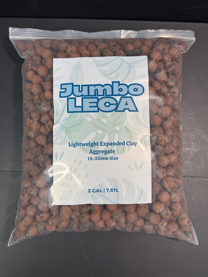 Jumbo LECA Clay Pebbles 15–25mm | Large Pre-Rinsed LECA for Big Plants & Drainage
