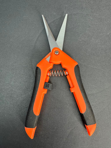 Plant Snips | Stainless Steel Pruning Shears for Houseplants | 1 Pair | Green, Blue or Orange