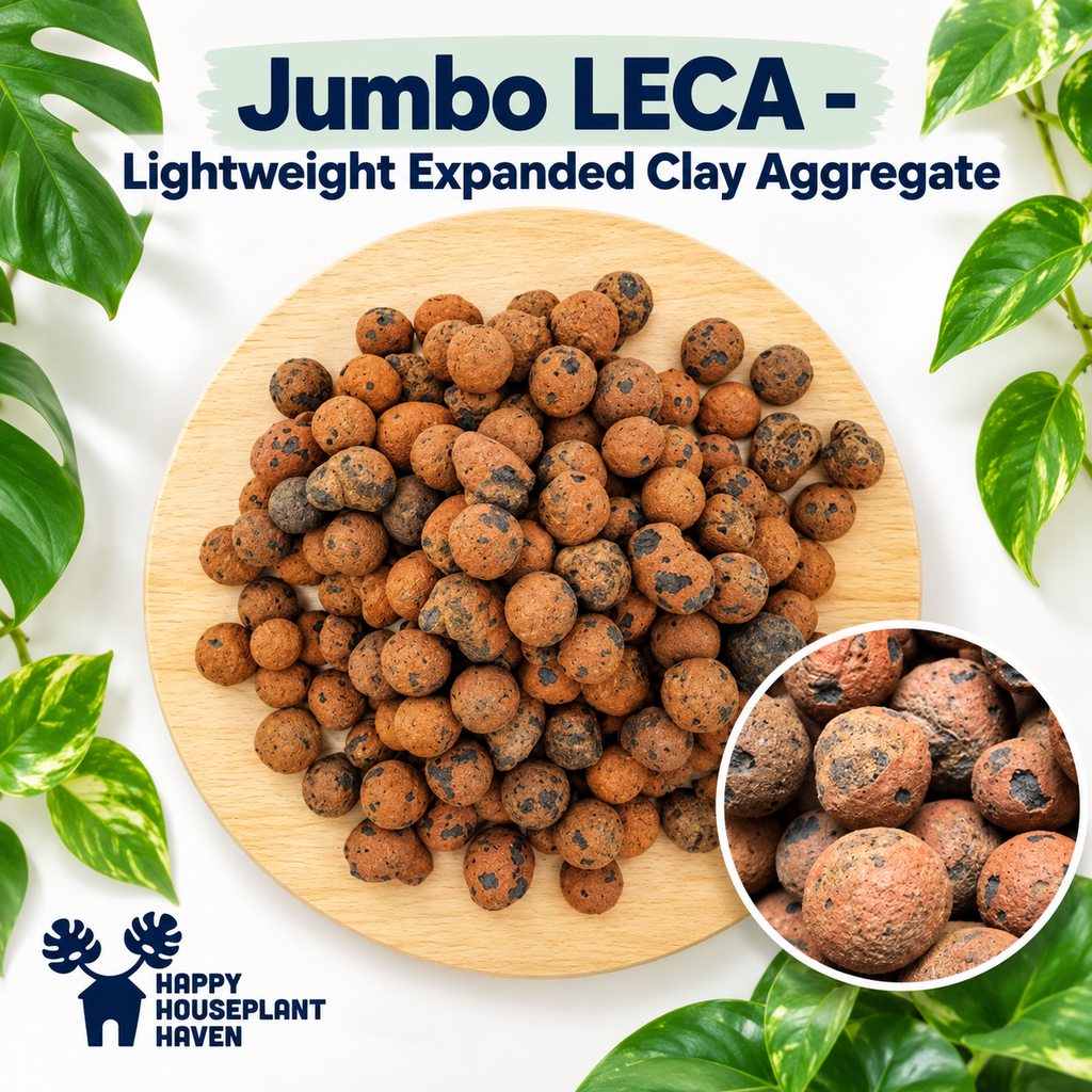 Jumbo LECA Clay Pebbles 15–25mm | Large Pre-Rinsed LECA for Big Plants & Drainage