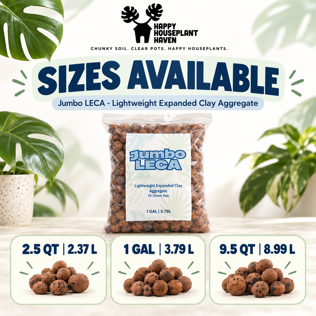 Jumbo LECA Clay Pebbles 15–25mm | Large Pre-Rinsed LECA for Big Plants & Drainage